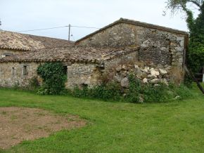 DSC09446.JPG